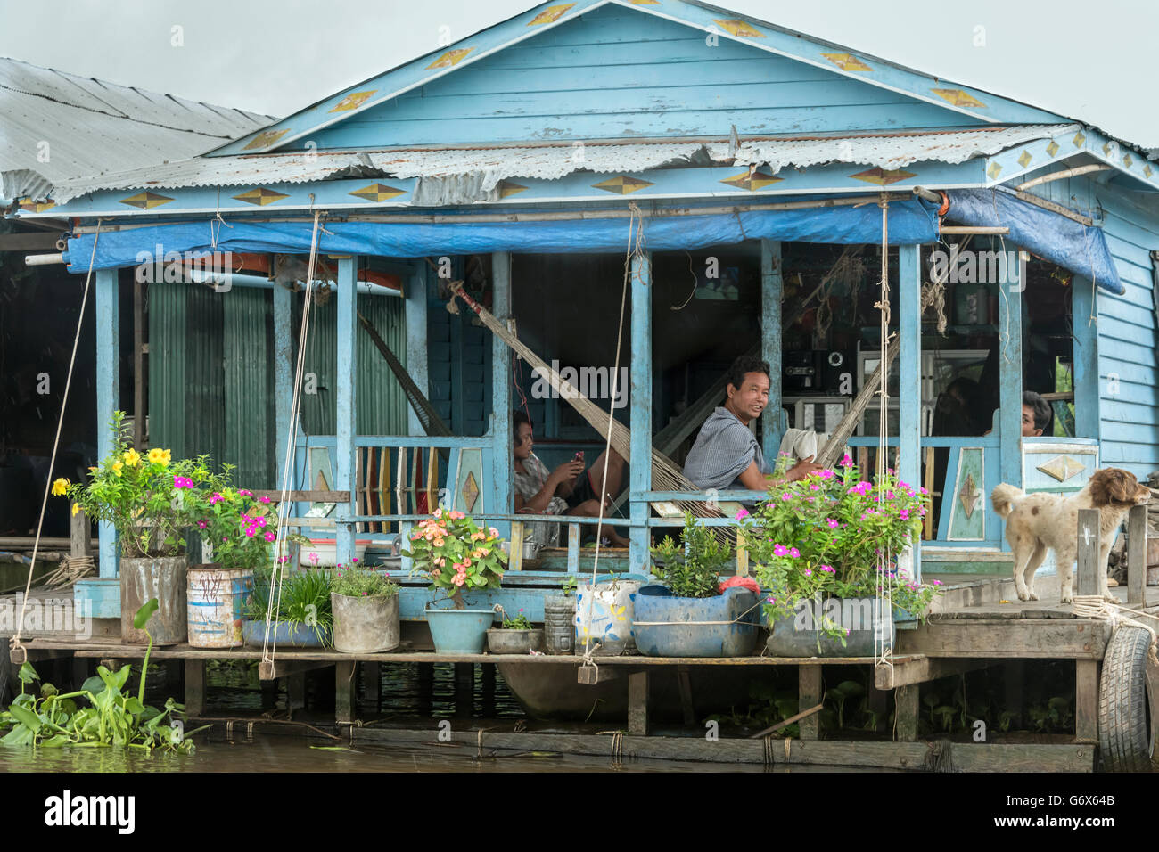 Fluss-Leben mit Hängematte, Blumen und Hund, Kampong Phluck, Tahas Fluss, Tonle Sap, Kambodscha Stockfoto