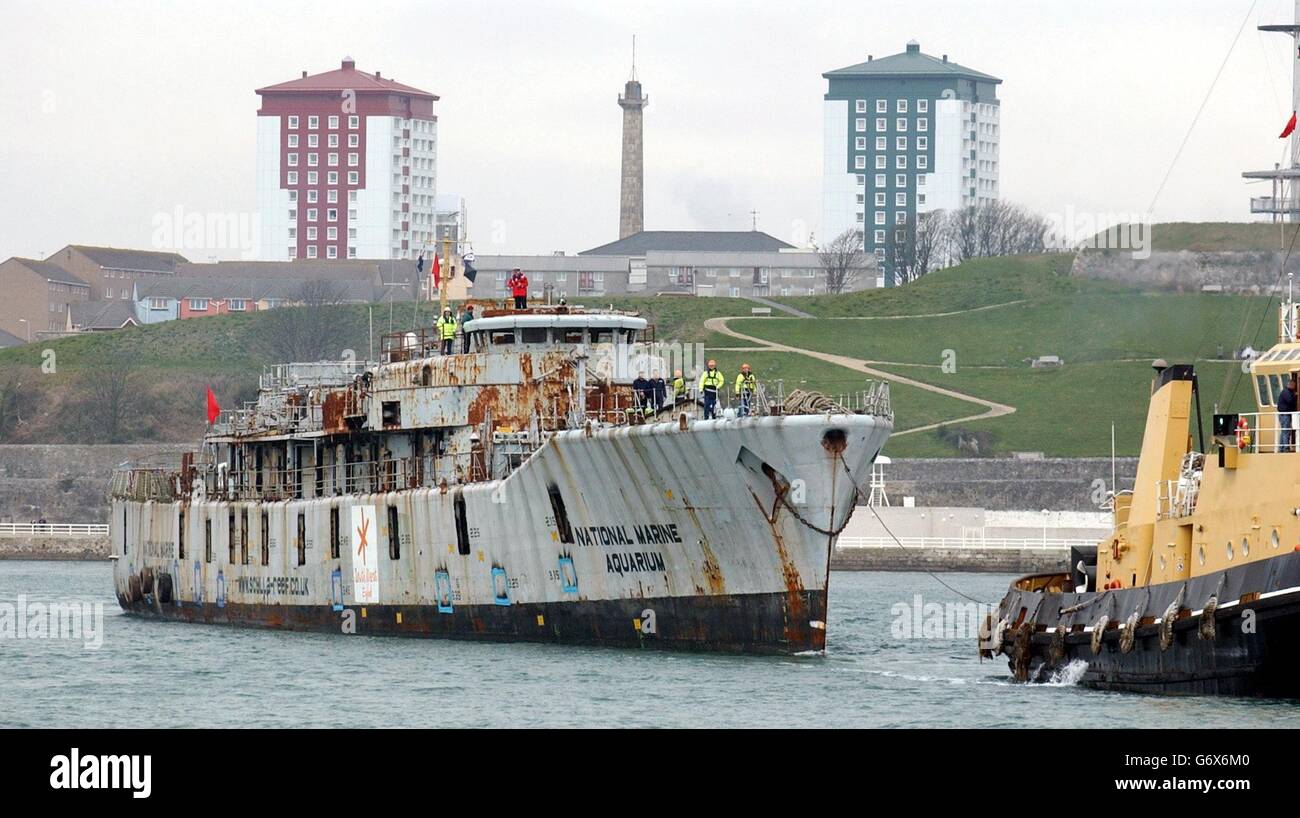 HMS Scylla wird von Plymouth an den Ort geschleppt, an dem er versenkt wird. Der zwölfjährige Daniel Green aus Ivybridge, Devon, wird von dem Umweltschützer David Bellamy begleitet, während HMS Scylla in ein wässriges Grab vor Ostkornwall gebracht wird. Stockfoto