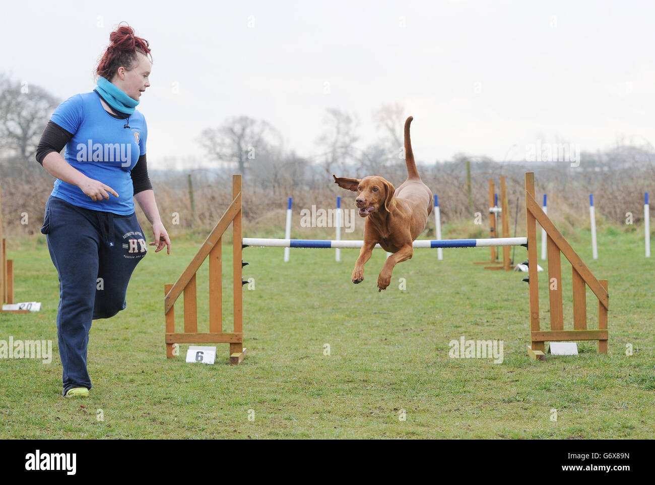 Jenna Allinson aus East Yorkshire, mit ihrem Hund Malaika, eine ungarische Wirehaired Vizsla, die den Spitznamen Ginge trägt, trainiert am Freitagmorgen in einer Agility-Klasse für den berühmten Hundewettbewerb Crufts in Birmingham. Stockfoto