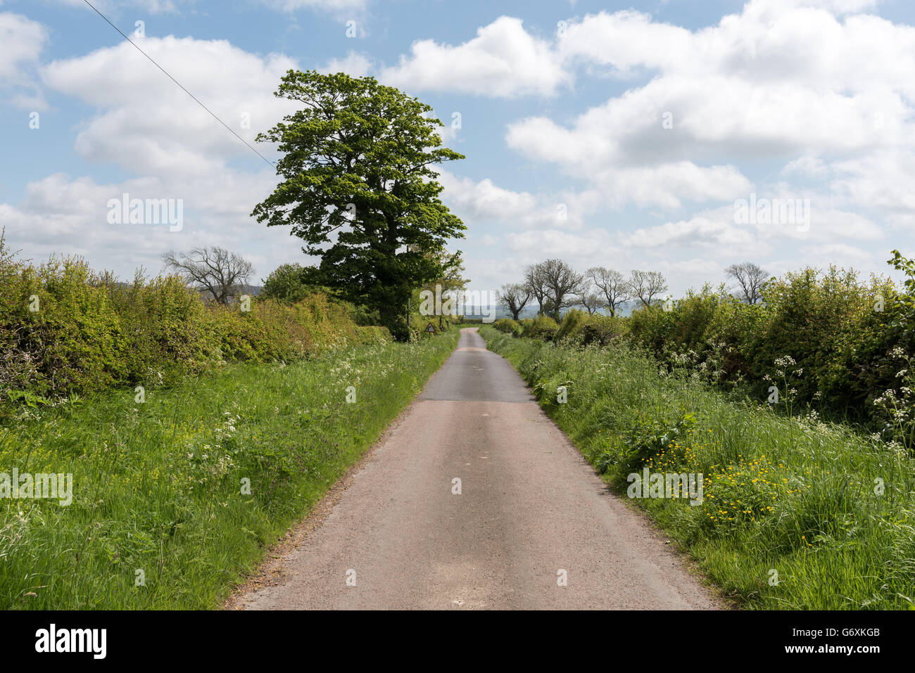 Land Land in ländlichen englischen Landschaft Stockfoto