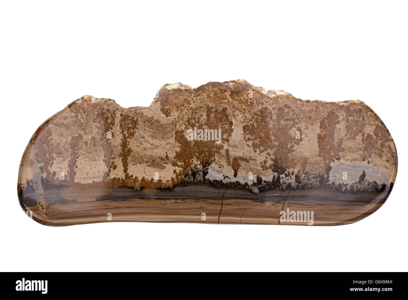 Cotham Marble oder Landschaft Marmor ist eine Vielzahl von rätischen stromatolitic Kalkstein aus der Gruppe von Penarth, gefunden in Süd-Wales Stockfoto