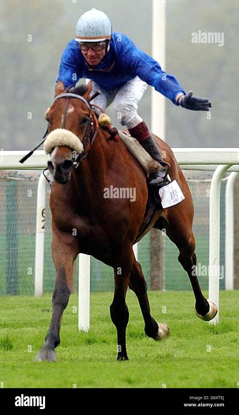 RACING Ascot Dominic Boeuf. Dominic Boeuf von Risk Seeker gewinnt die Bovis Homes Sagaro Stakes am Mittwoch in Ascot. Stockfoto