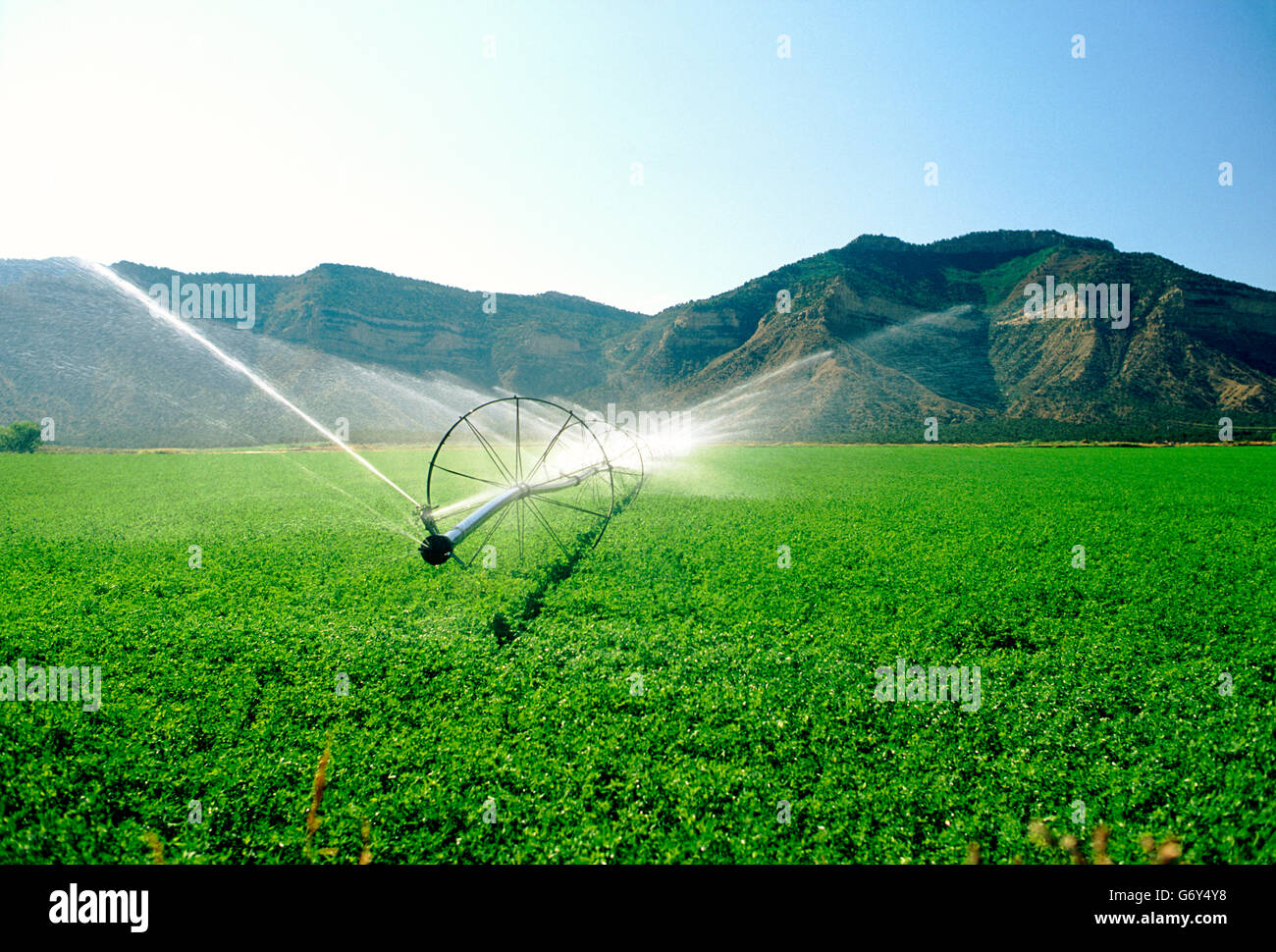 Beregnungs-und Bewässerungstechnik Sprühwasser auf Feldern in der Nähe von Cortez, Colorado, USA Stockfoto