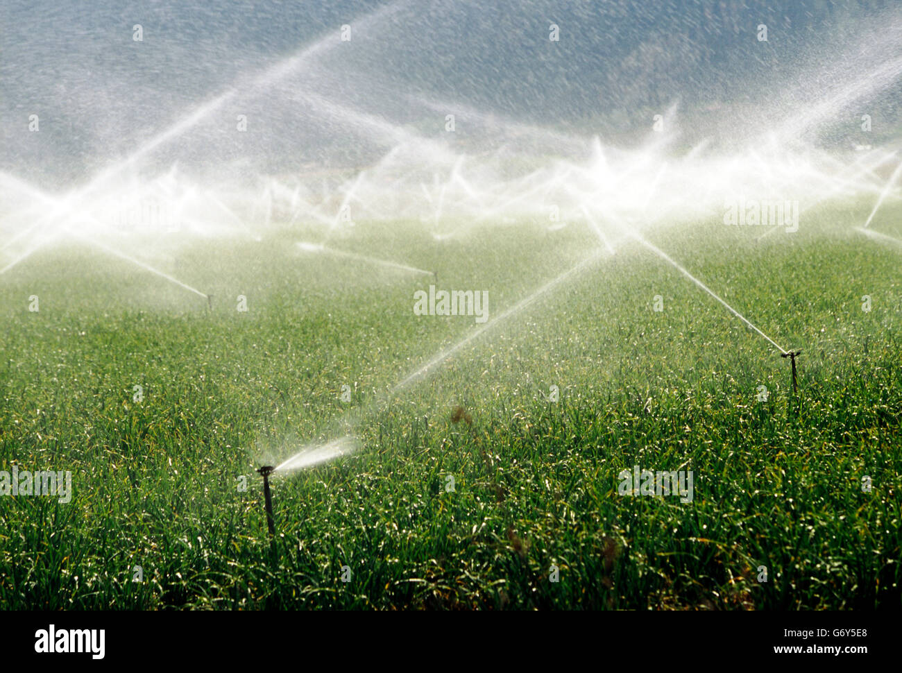 Beregnungs-und Bewässerungstechnik Sprühwasser auf Feldern in der Nähe von Carson City, Nevada, USA Stockfoto
