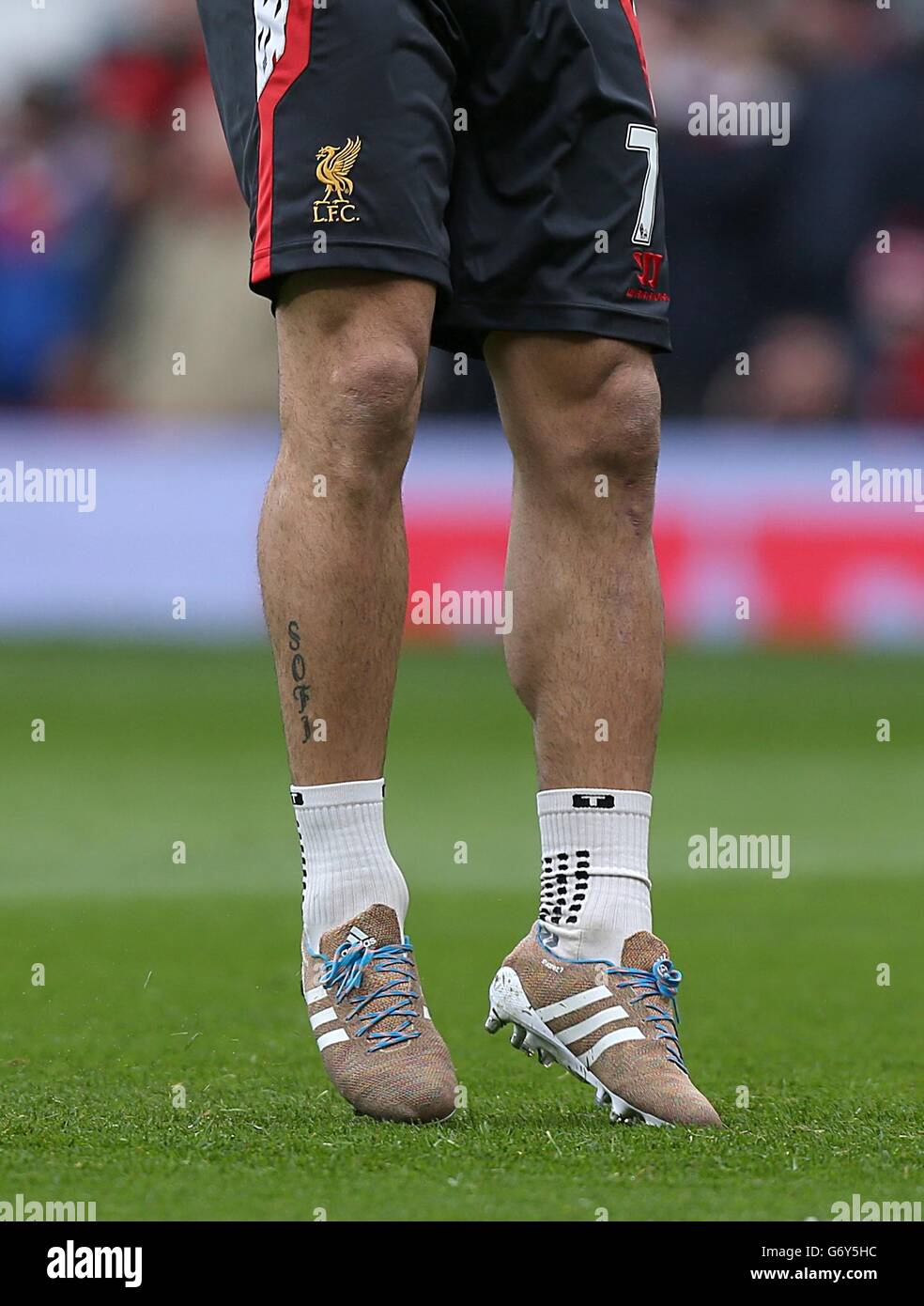 Liverpools Luis Suarez tragt die neuen Adidas Samba Primeknit Stiefel Stockfotografie Alamy