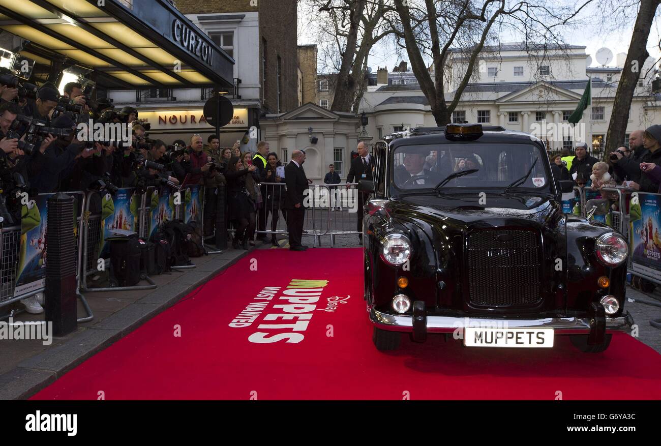 Kermit the Frog und Miss Piggy kommen in einem schwarzen Taxi bei der Promi-Vorführung von Muppets Most Wanted im Curzon Mayfair im Zentrum von London an. Stockfoto