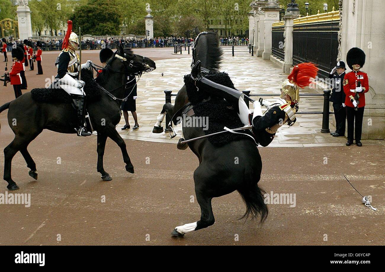 Horse Guard vom Pferd vor Königin Stockfoto
