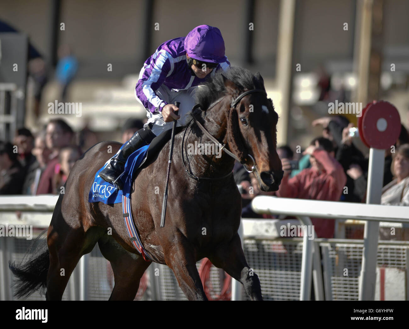 Pferderennen Sie - irische Lincolnshire/Lodge Park Stud Park Express Stakes Day - Curragh Rennbahn Stockfoto