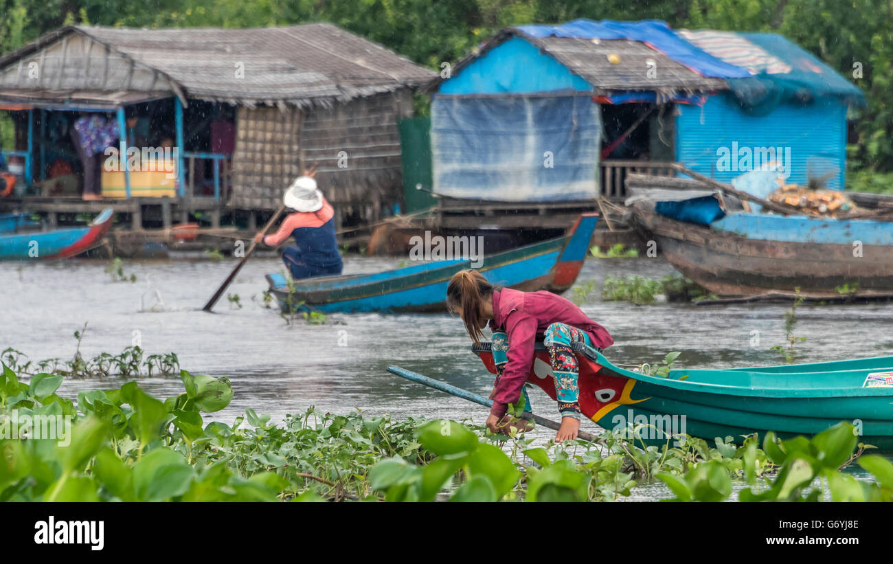 Frau treffen Wasserhyazinthen bei leichtem Regen, Tahas Fluss schwimmende Häuser, Tonle Sap, Kambodscha Stockfoto