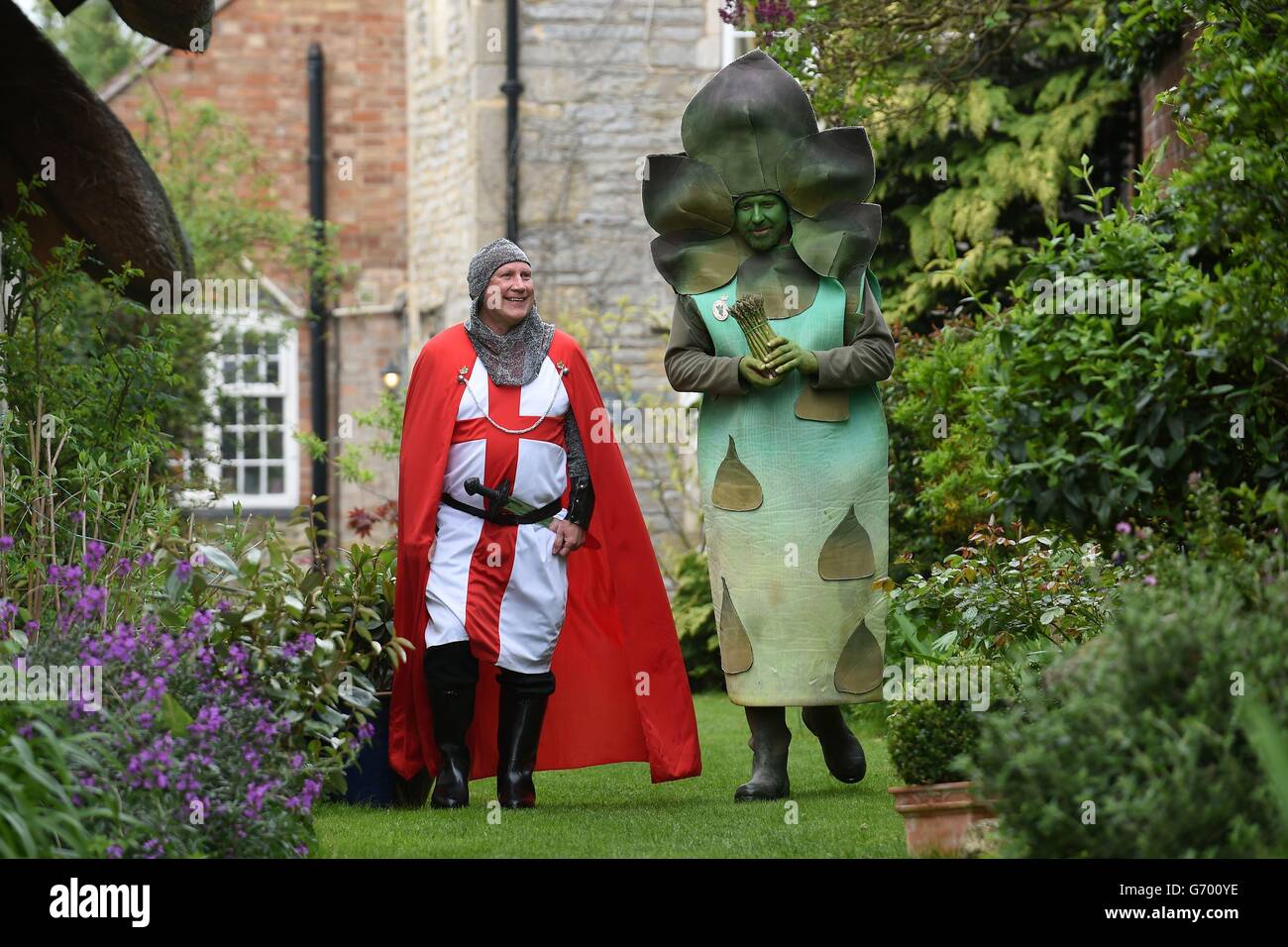 St. George (links) und Gus der Spargelmann (rechts) feiern den Beginn der Spargelsaison in Bretforton, Worcestershire. Stockfoto