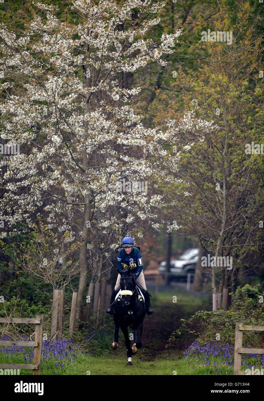 Pferdesport - Mosaiksteine International Horse Trials - Tag zwei - Hambleden Stockfoto