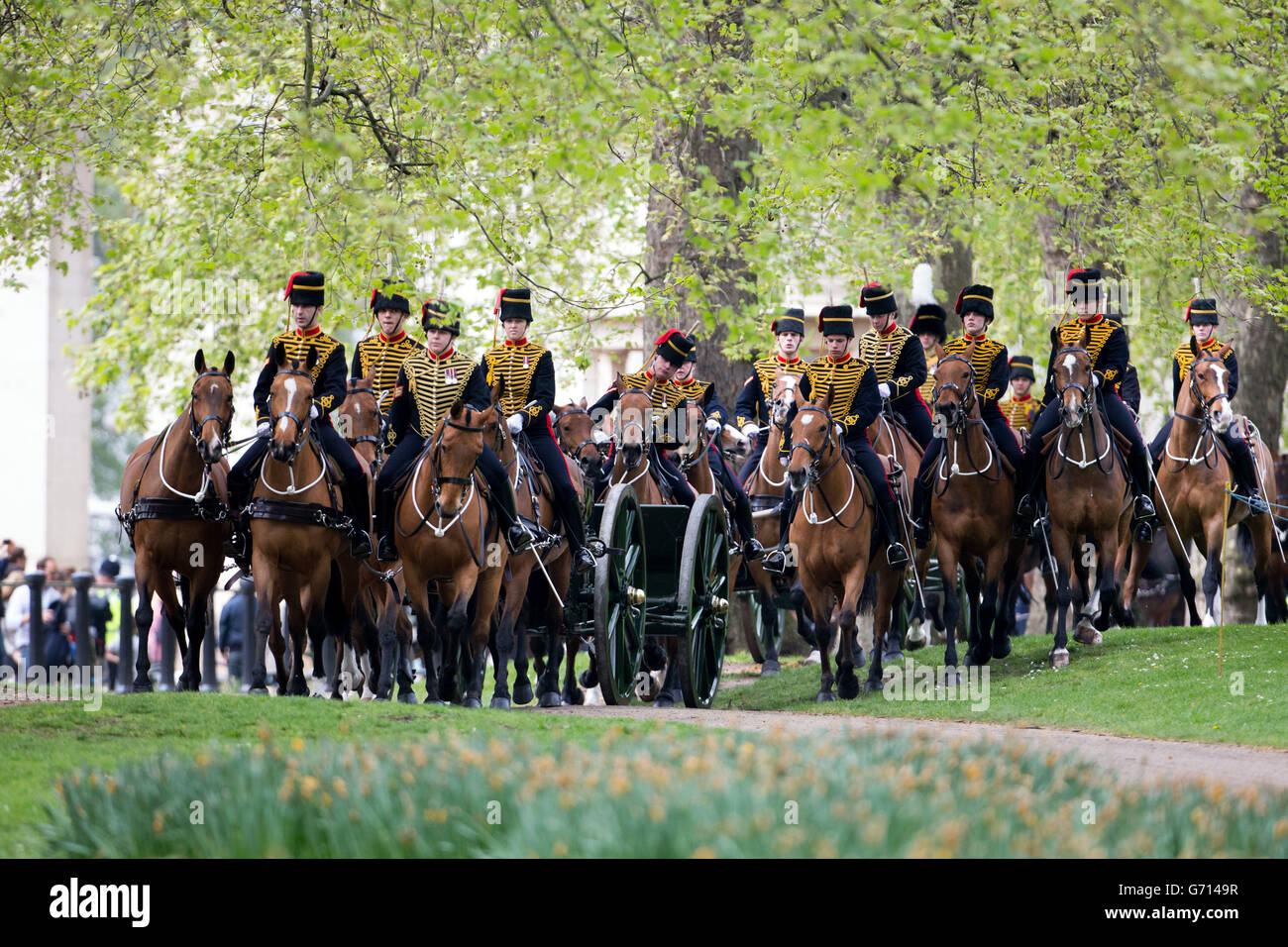 Die Königstruppe Royal Horse Artillery trifft im Green Park, London, ein, bevor sie eine 41 Gun Royal Salute zu Ehren des 88. Geburtstages von Königin Elizabeth abfeuert. Stockfoto