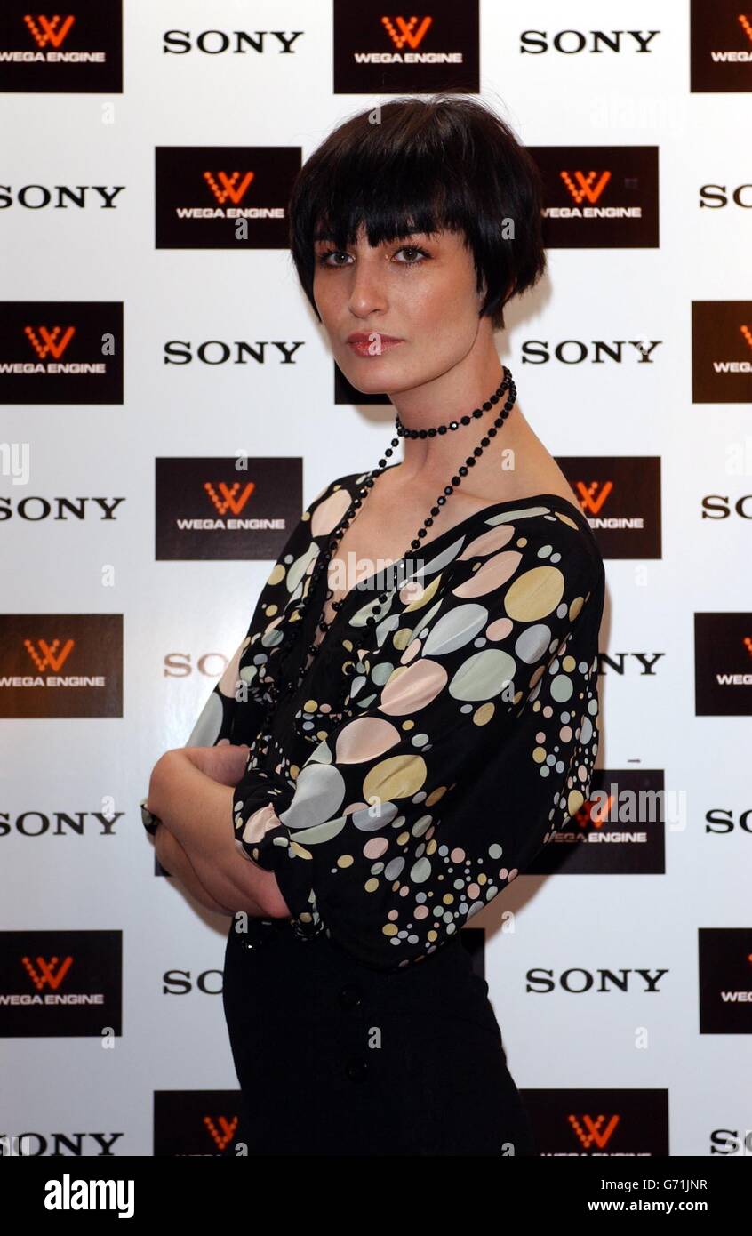 Supermodel Erin O' Connor während einer Fotoaufnahme, um den neuesten Plasma- und LCD-Flachbildfernseher von Sony, ausgestattet mit WEGA Engine Bildoptimierungstechnologie, im Zetter Hotel im Zentrum von London auf den Markt zu bringen. Stockfoto