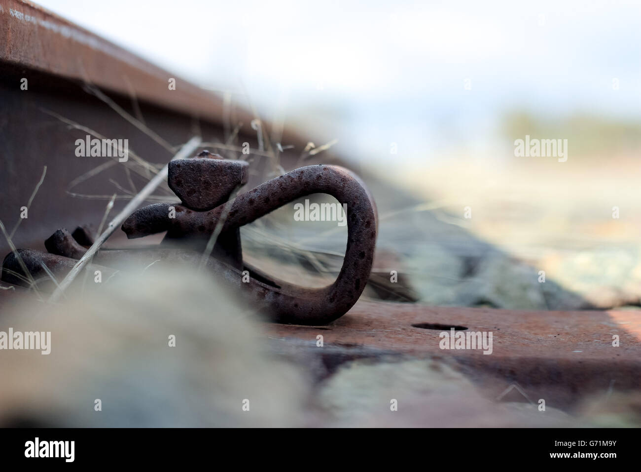 Nahaufnahme von rostigen Eisenbahnstrecken überqueren eine alte Holzbrücke an einem nebligen Morgen Stockfoto