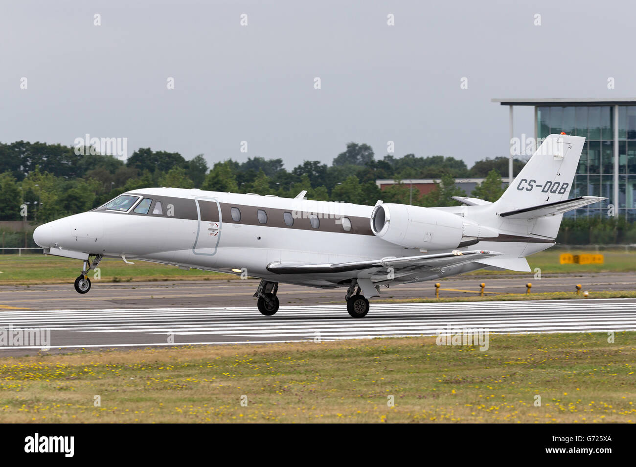 NetJets Cessna Citation Excel (Cessna 560XL) CS-DQB Stockfoto