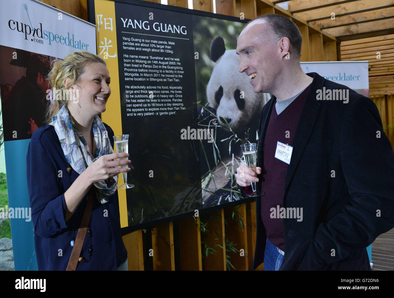 Rachel Kerr und Martin McMullan nehmen an einer CupidSpeedDater-Dating-Veranstaltung von Cupid.com im Giant Panda Enclosure im Zoo von Edinburgh in Schottland Teil. Stockfoto