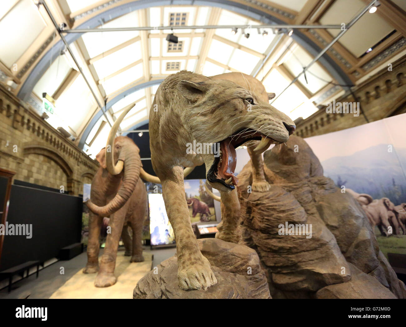 Die Mammuts: Ice Age Giants Ausstellung im National History Museum im Zentrum von London. Stockfoto