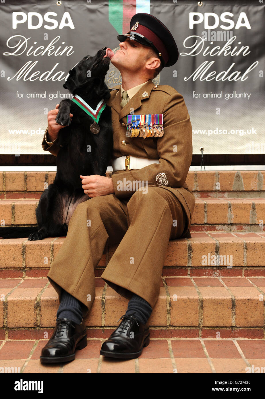 Sergeant Major Andy Dodds sitzt mit dem pensionierten Armeearbeitshund Fire, da er eine Nachbildung der PDSA Dickin Medal for Animal Gallantry trägt, die posthum an den Militärarbeitshund Sasha verliehen wurde, der in Afghanistan während eines Empfangs im Westen Londons getötet wurde. Stockfoto