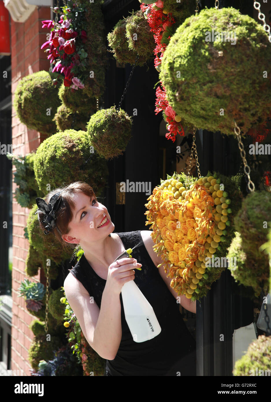 REDAKTIONELLE VERWENDUNG NUR Sylawia Siewers beendet die Ausstellung in der Basia Zarzycka, die an der diesjährigen Kreation von Chelsea in Bloom, einem einwöchigen Wettbewerb, der in Zusammenarbeit mit der RHS Chelsea Flower Show in London veranstaltet wird, teilgenommen hat. Stockfoto