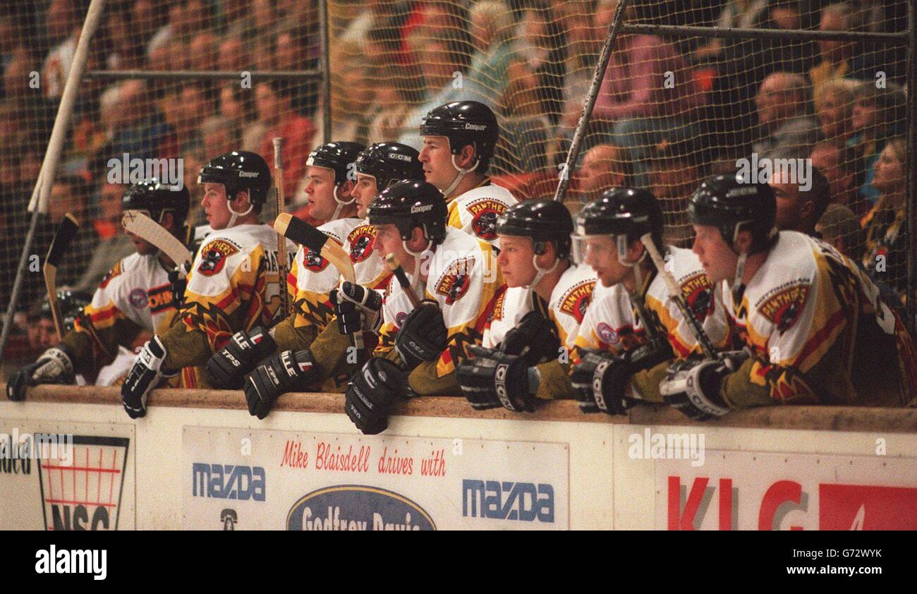 Eishockey - Nottingham Panthers / Basingstoke Bison. Panthers on Side Line Stockfoto