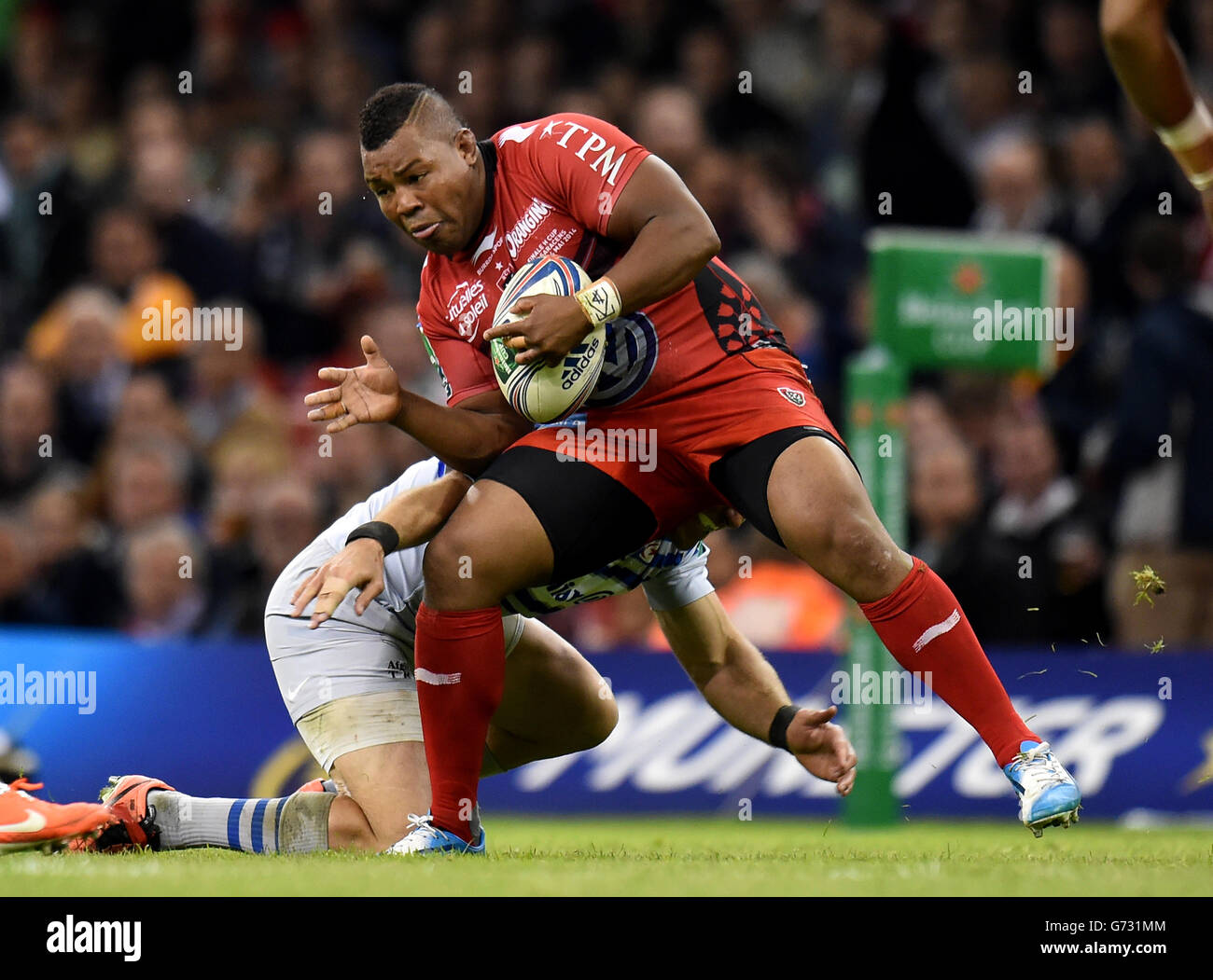 Rugby-Union - Heineken Cup - Final - RC Toulon V Sarazenen - Millennium Stadium Stockfoto