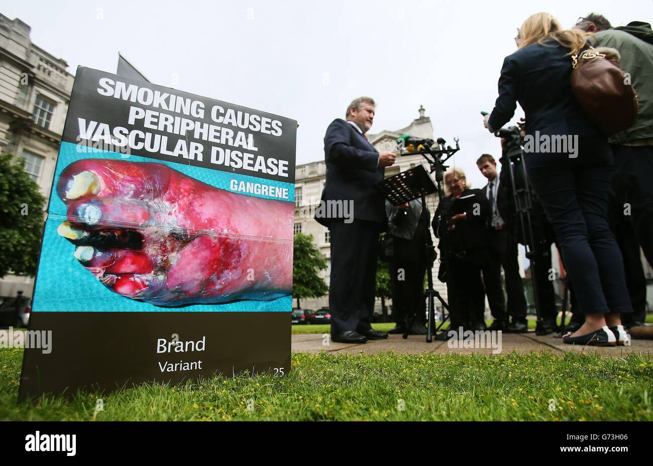 Gesundheitsminister James Reilly spricht vor den Medien in den Regierungsgebäuden in Dublin, da Irland als erstes europäisches Land ein Verbot von Zigarettenpackungen mit Markenwerbung angeordnet hat. Stockfoto