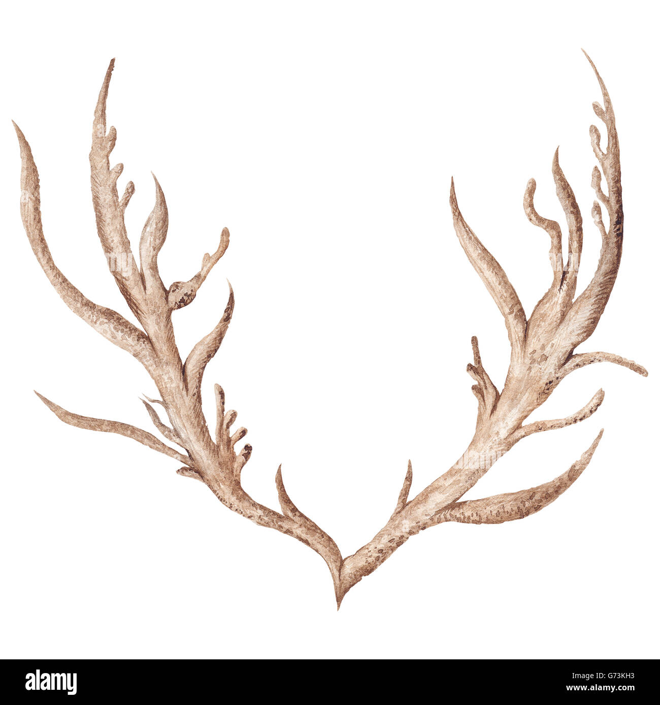 Kreative Stammes-Boho Stil Horn Abbildung isoliert auf weißem Hintergrund Stockfoto