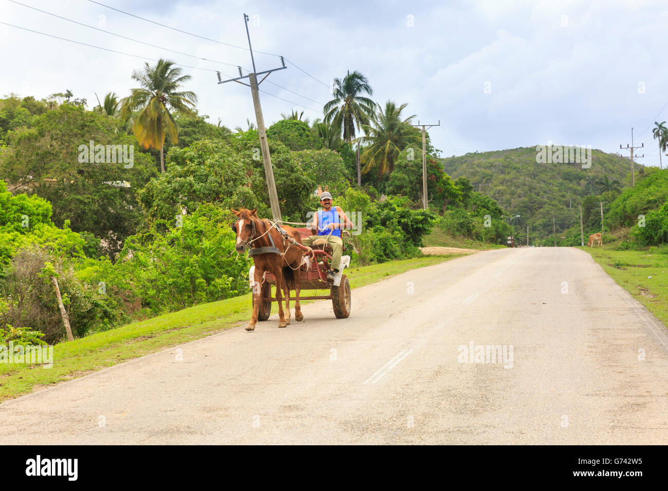 Pferd gezeichneten Wagen auf Landstraße in der Nähe von Jibacoa, Varadero, Kuba Stockfoto