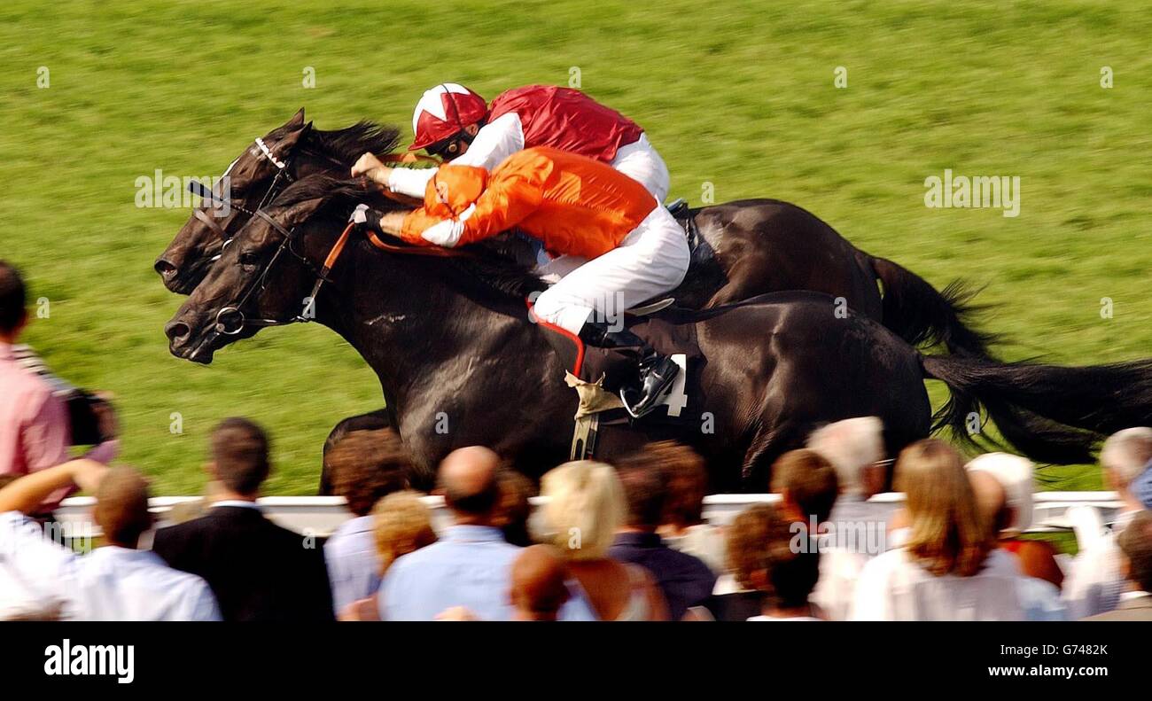 Racing von Goodwood Stockfoto