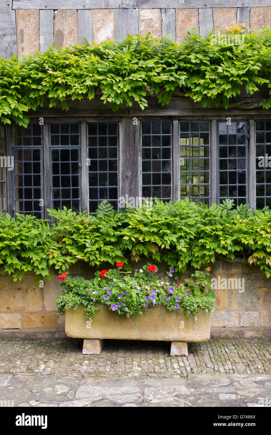 Stein-Trog voller Blumen vor einem Cotswold-Haus. Cotswolds, England Stockfoto