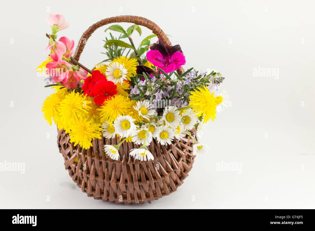 Blumenkorb machte der Flechtweide vor weißem Hintergrund Stockfoto