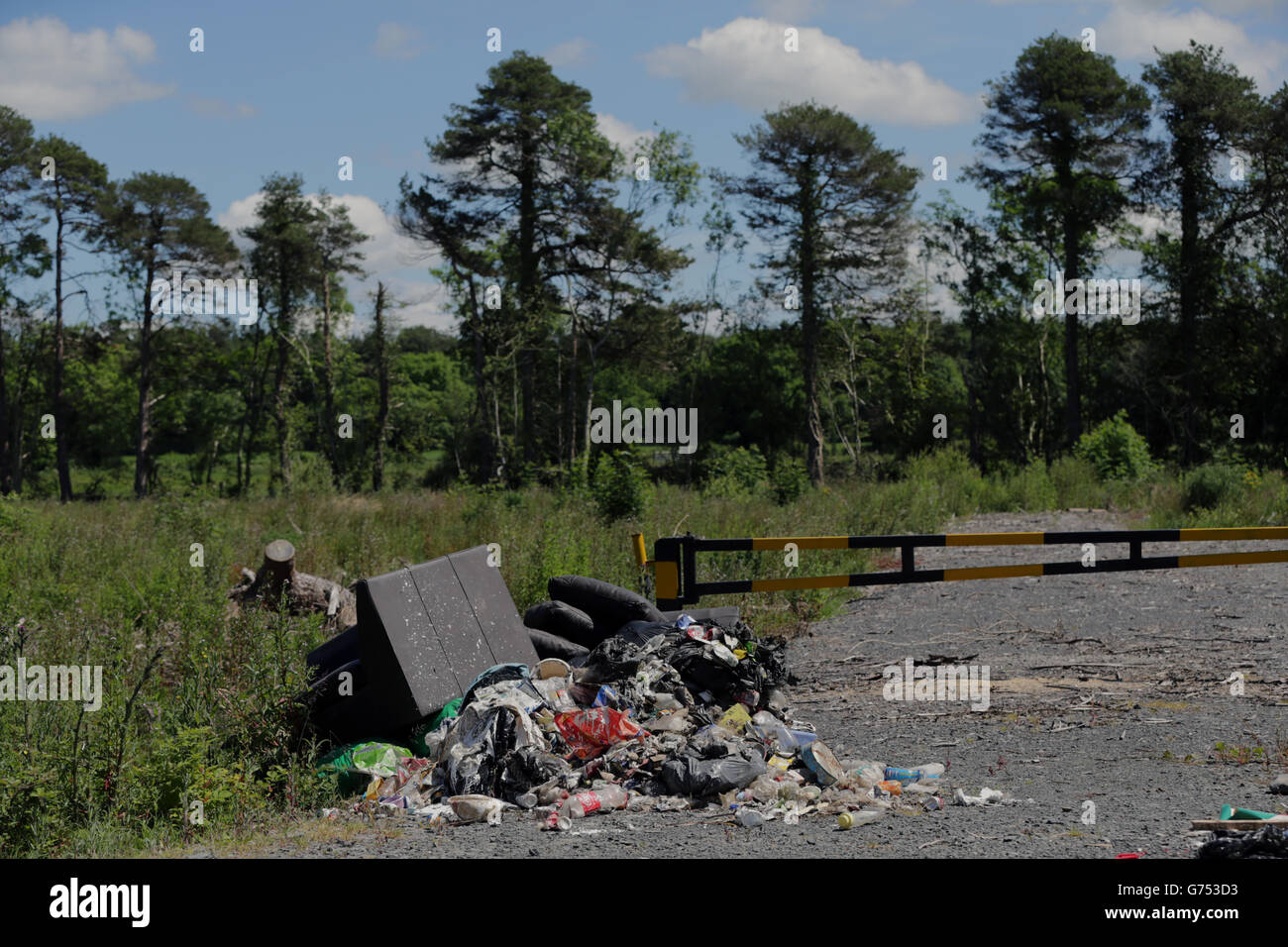 Müll, der am Straßenrand in der Grafschaft Laoisr geflickst wurde. Stockfoto