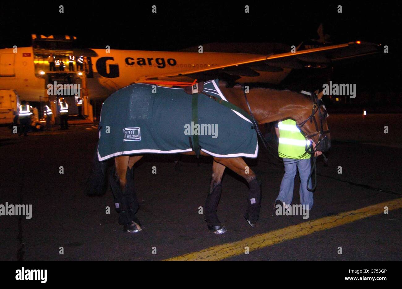 König Solomon III, eines der britischen Olympischen drei-Tage-Event Pferde verlässt Luton Flughafen nach Athen. Nächste Woche beginnen die Olympischen Spiele. PA-Foto:Matt Writle. Stockfoto