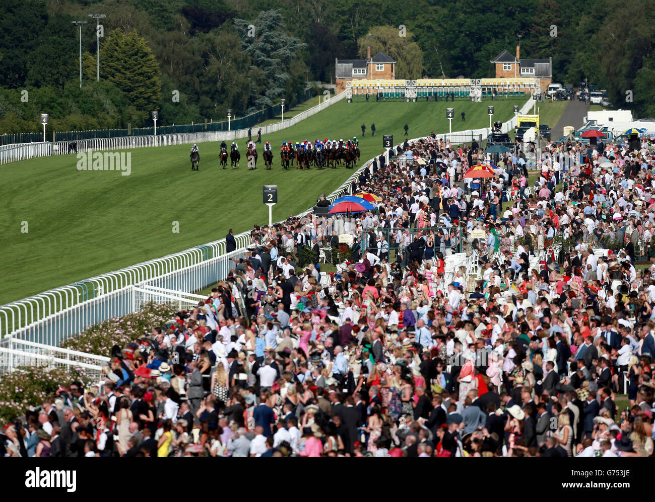 Pferderennen - The Royal Ascot Meeting 2014 - Tag Zwei - Ascot Racecourse. Field of Dream von Adam Kirby auf dem Weg zum Sieg im Royal Hunt Cup Stockfoto