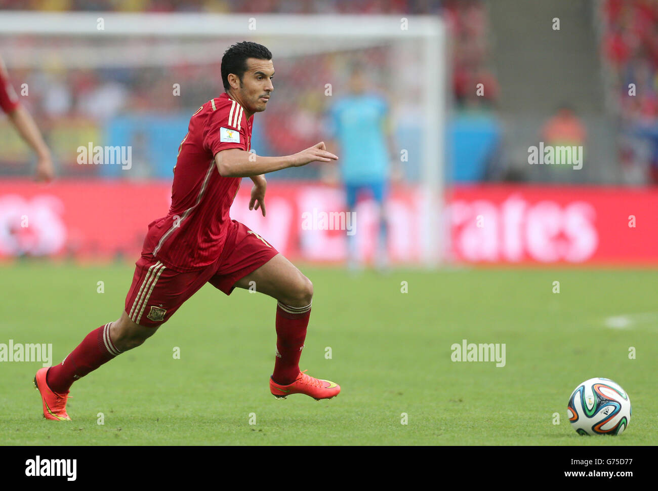 Fußball - FIFA Fußball-Weltmeisterschaft 2014 - Gruppe B - Spanien - Chile - Maracana. Der spanische Pedro Rodriguez Stockfoto