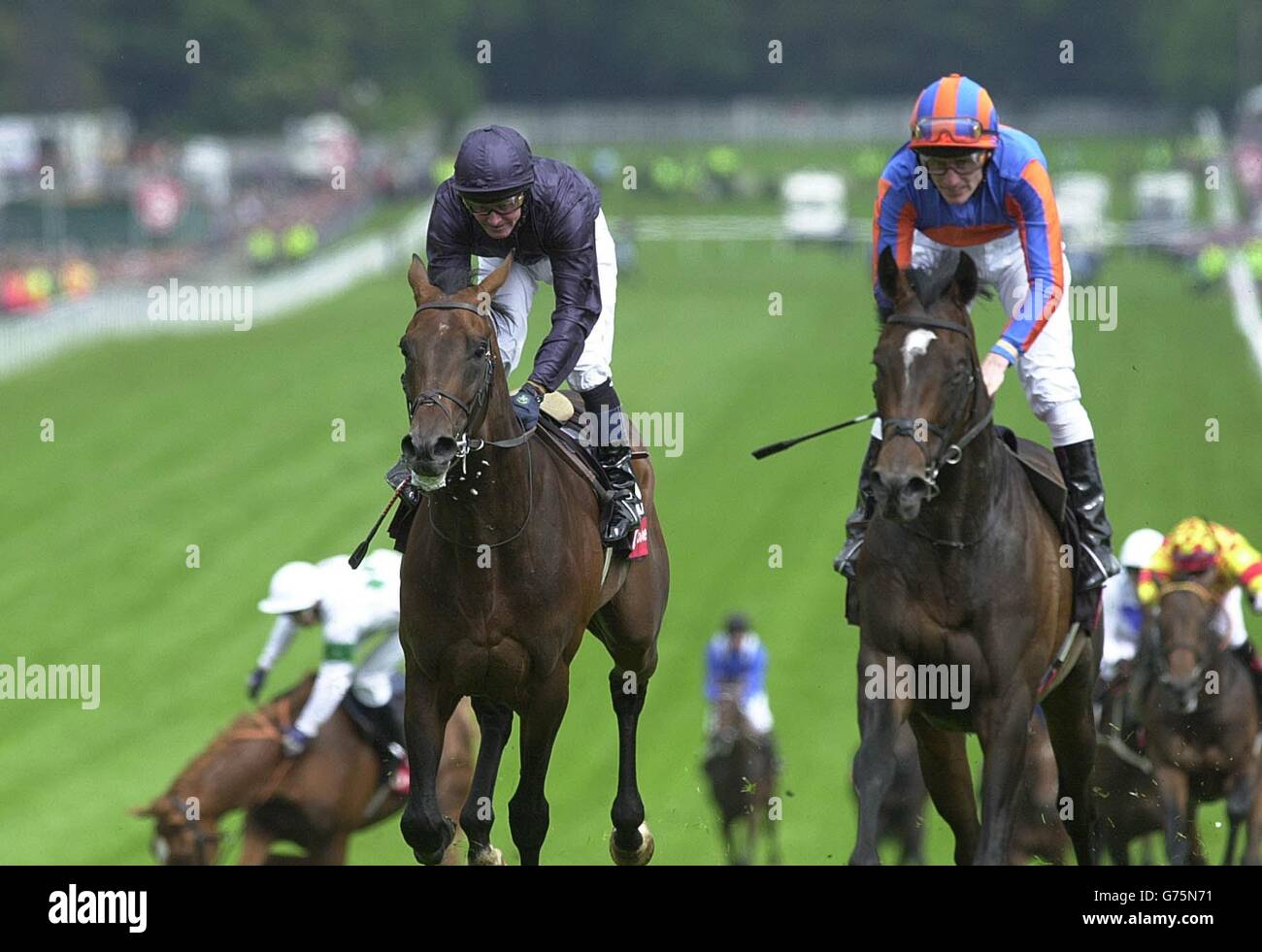 High Chaparral (rechts) mit Johnny Murtagh gewinnt das Derby mit Hawk Wing (Mitte) auf der Epsom Racecourse an zweiter Stelle. Stockfoto