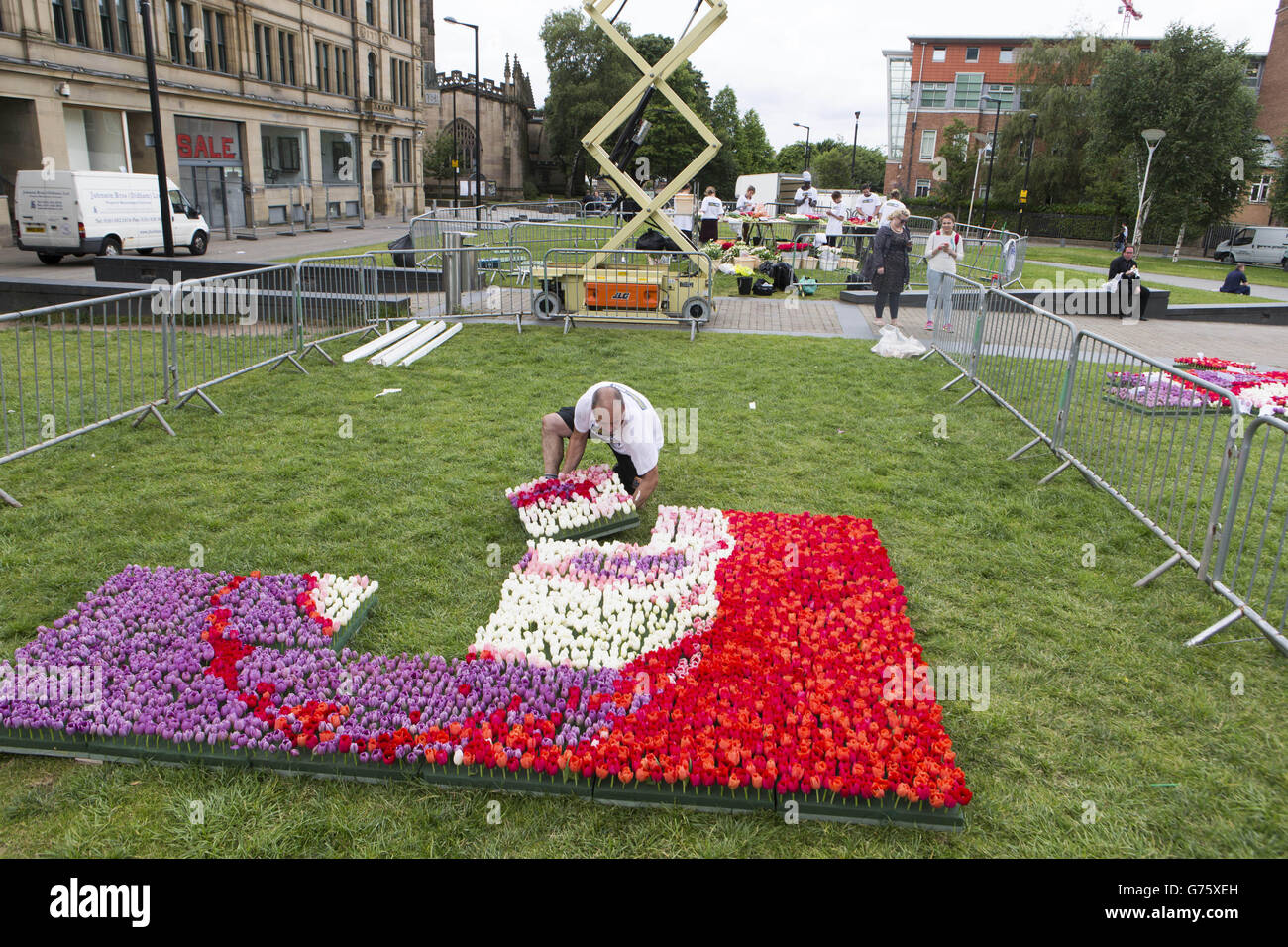 Anlässlich der Ankunft von Louis Van Gaal in der Premier League hat William Hill heute in Manchester ein großformatiges Porträt des niederländischen Fußballmanagers aus Tulpen in Auftrag gegeben, als er seine Herrschaft als neuer Manager von Manchester United beginnt. Stockfoto
