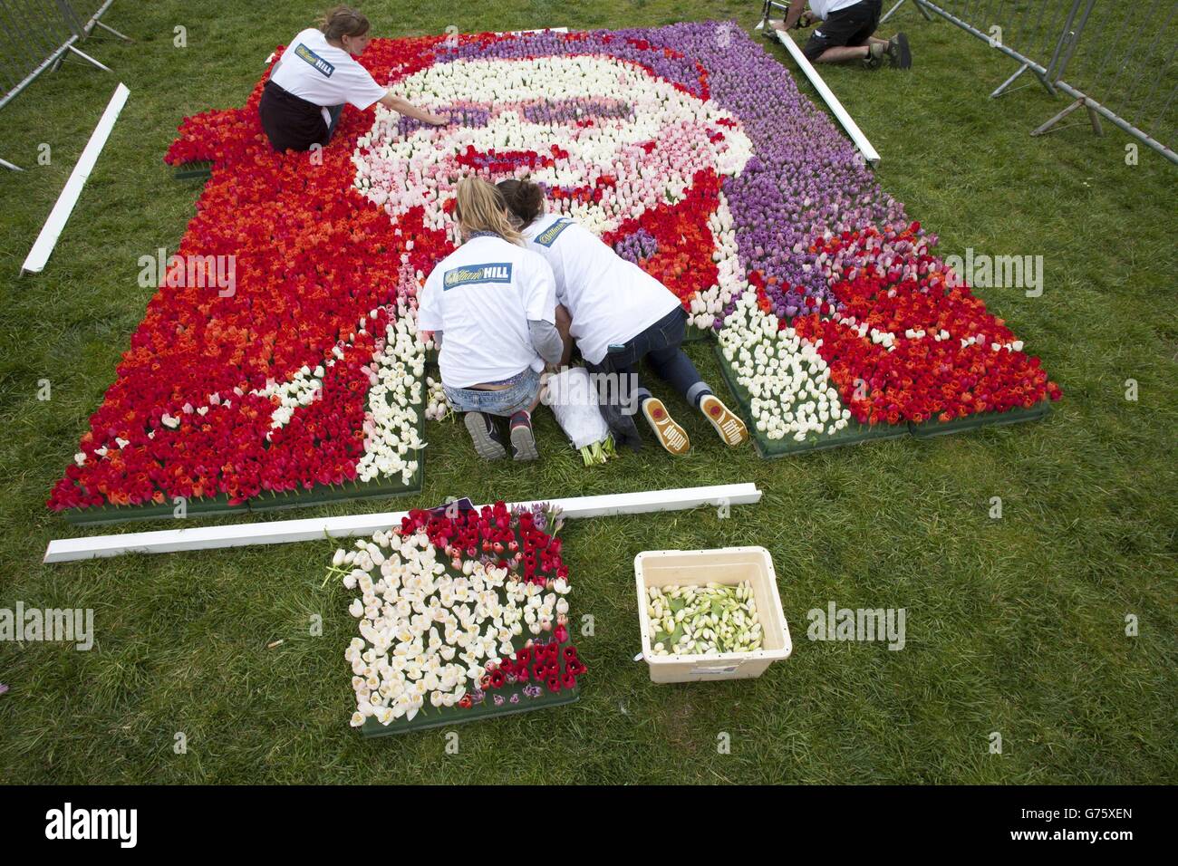 REDAKTIONELLE VERWENDUNG NUR um die Ankunft von Louis Van Gaal in der Premier League zu markieren, hat William Hill heute in Manchester ein großformatiges Porträt des niederländischen Fußballmanagers aus Tulpen in Auftrag gegeben, als er seine Herrschaft als neuer Manager von Manchester United beginnt. Stockfoto