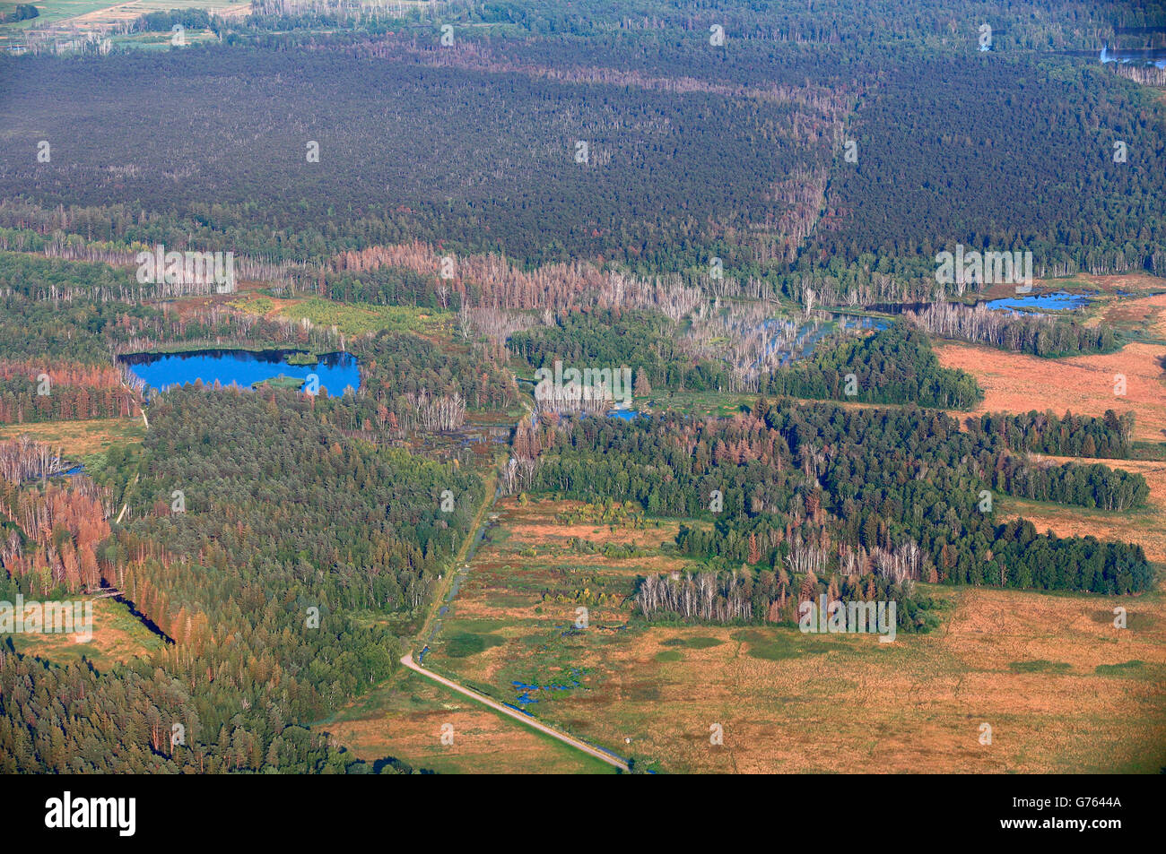 Burgweiler Pfrunger Ried Stockfotos und bilder Kaufen Alamy