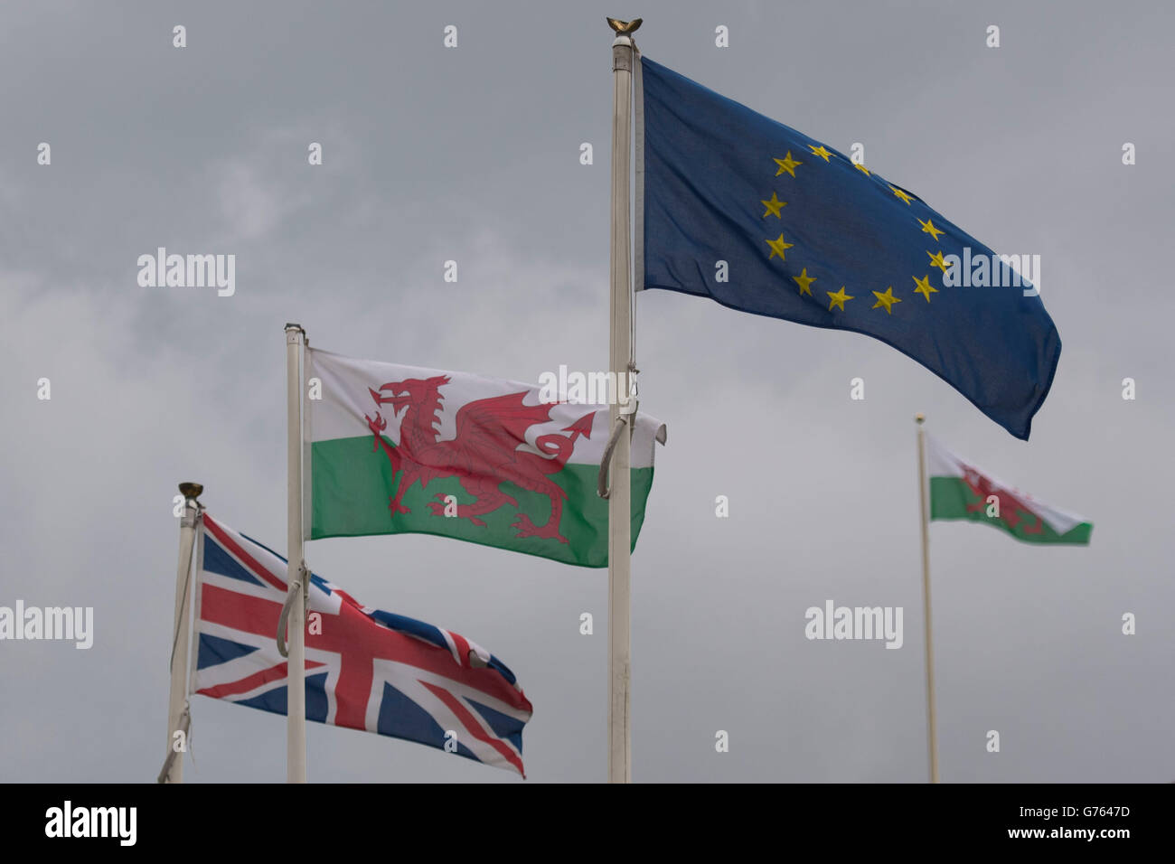 EU-Wales Flagge EU Stockfoto