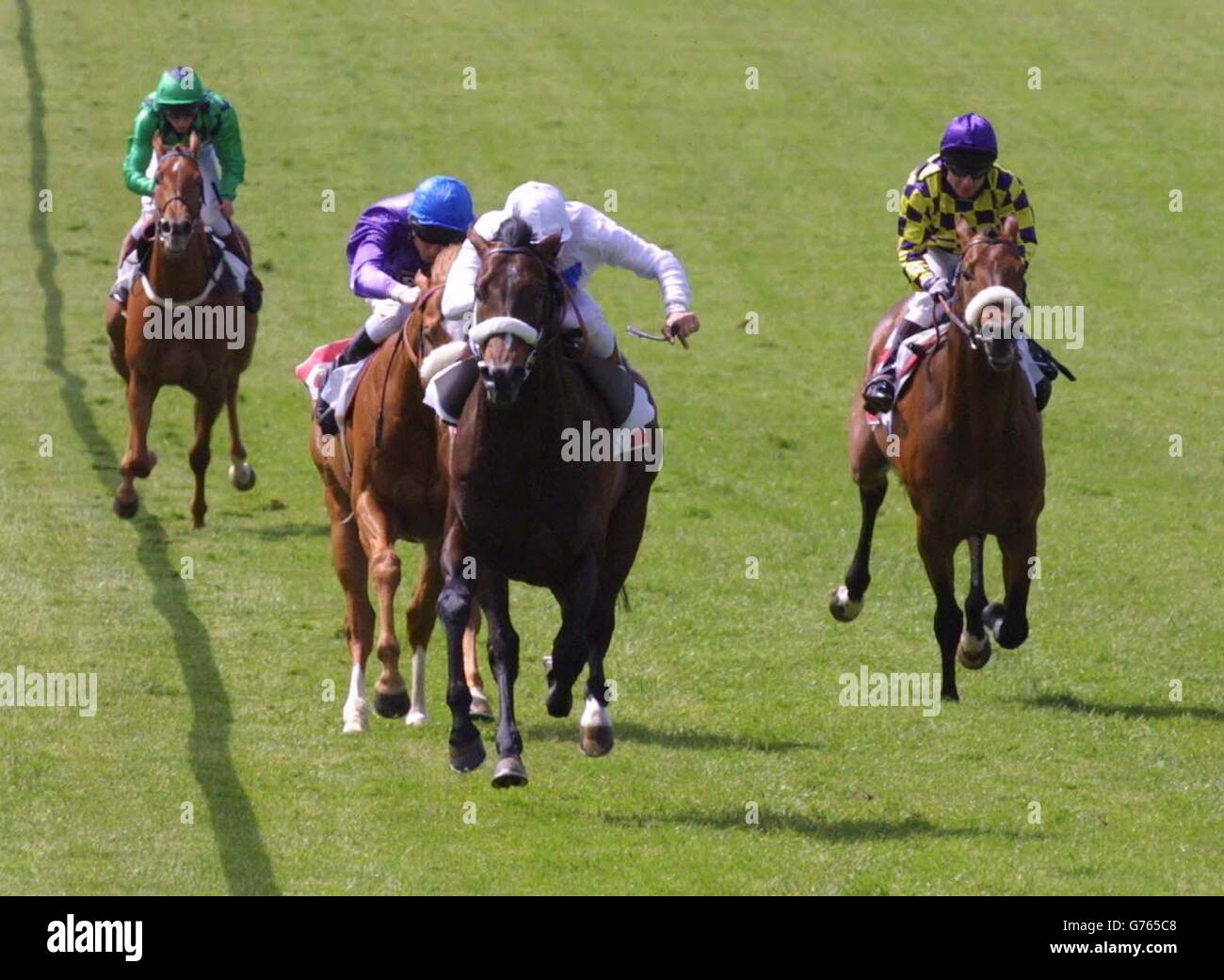 Newmarket Racing Stockfoto