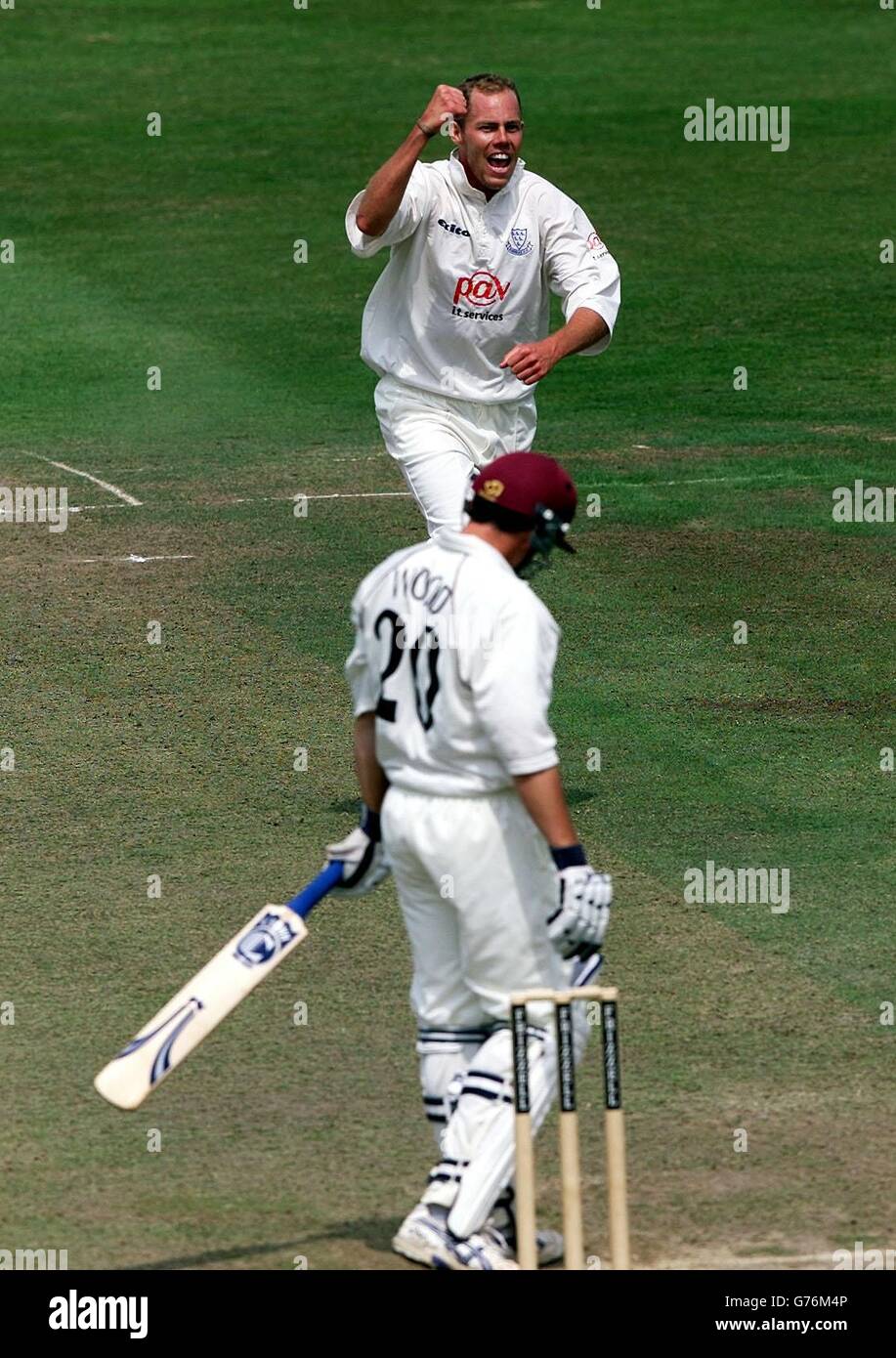 Sussex-Bowler Billy Taylor feiert das Wicket von Matthew Wood von Somerset, das Matthew Prior 31 während des Frizzell County Championship-Spiels auf dem County Ground, Taunton, gefangen hat. Stockfoto