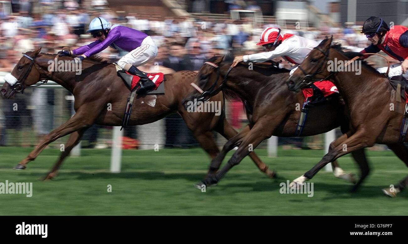 Speed Cop geritten von Martin Dwyer (L) kommt in den Stan James St Hugh's Stakes Rennen vor Wimple von BrettDoyle in Newbury geritten zu gewinnen. Stockfoto