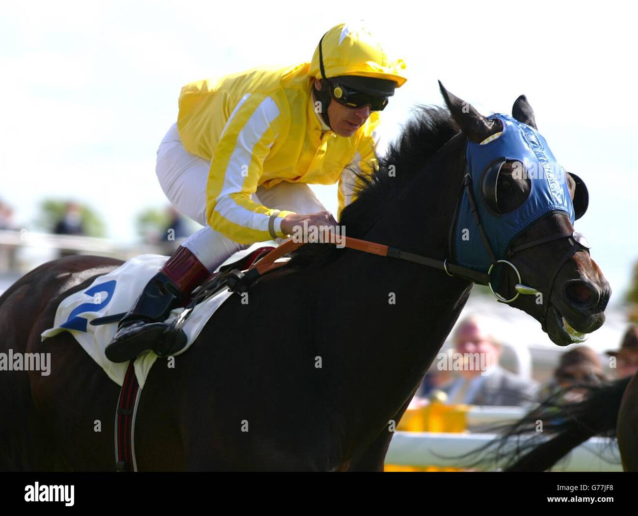 Chester Racing - Sonnenschirm Stockfoto