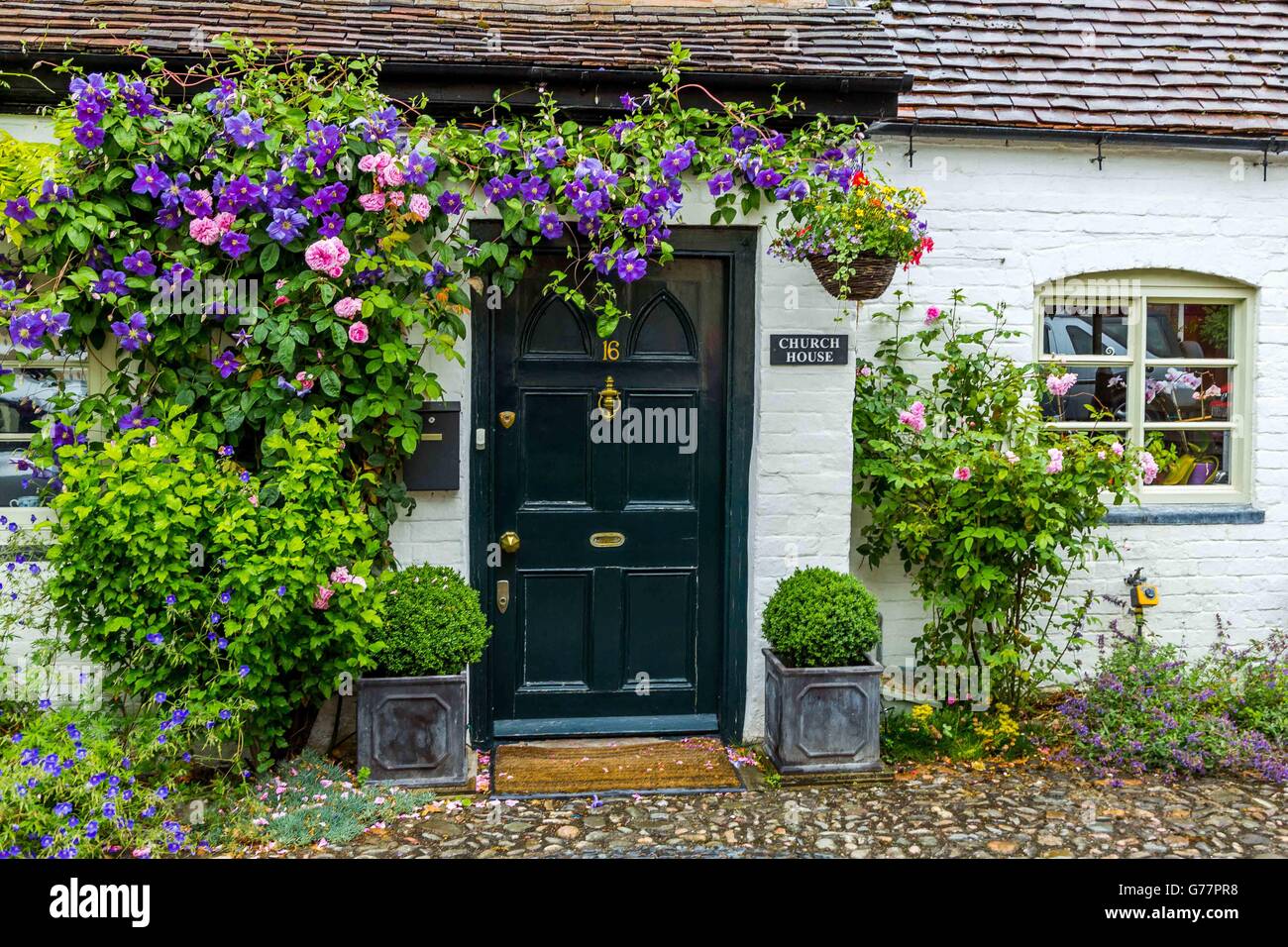 Der schwarze Tür umgeben von englischen Rosen eines typisch englischen Cottage in Cornwall, Großbritannien Stockfoto