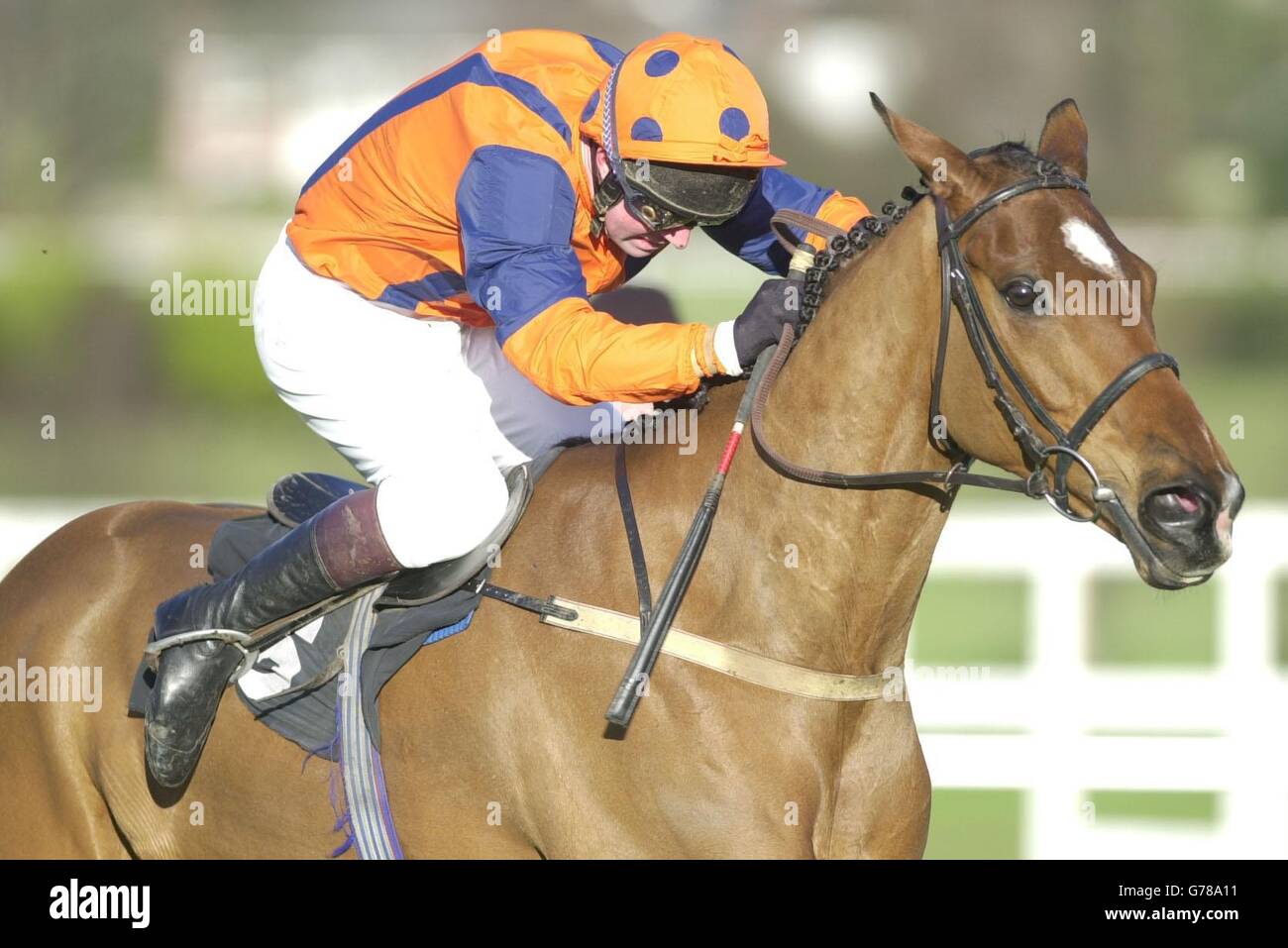 Healy's Pub mit Jockey Gareth. Cotter auf dem Weg zum T.C. Matthews/Brintons Carpets Handicap-Hürde auf der Leopardstown Racecourse, Dublin. Stockfoto