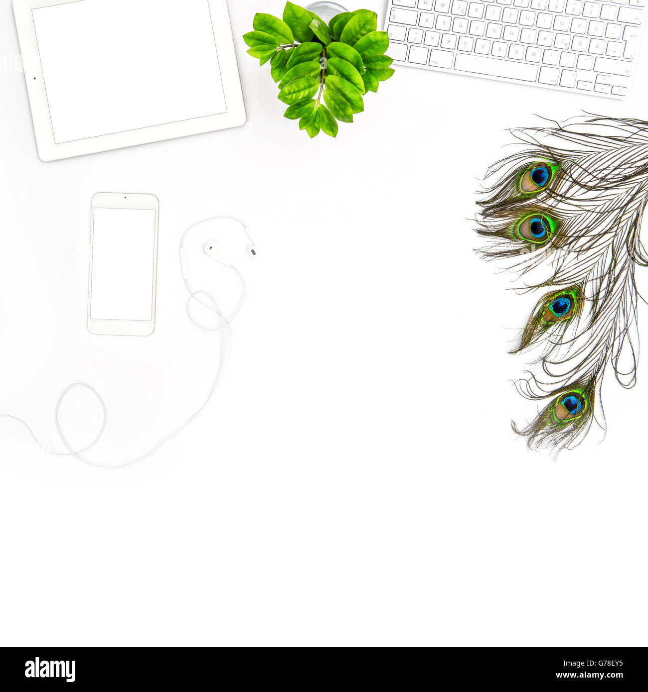 Schreibtisch mit Tastatur, Tablet-pc-Bildschirm, Telefon, Pfauenfeder, grüne Pflanze.  Flach zu legen. Mock-up weißen Hintergrund Stockfoto