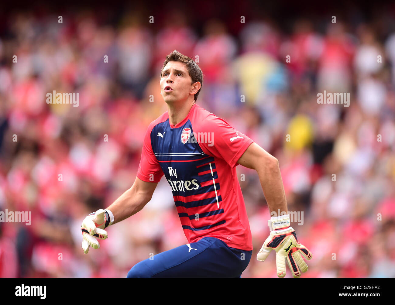 Fußball - Emirates Cup 2014 - Arsenal V SL Benfica - Emirates Stadium. Damian Martinez, Torwart von Arsenal Stockfoto