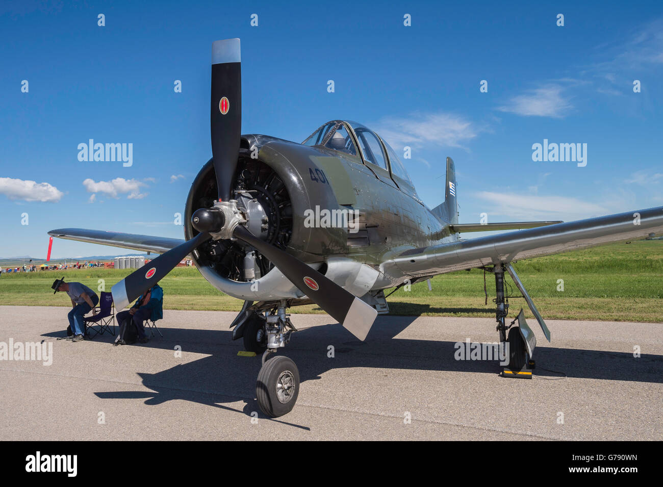 T-28 Trojaner, Wings over Springbank, Springbank Airshow, Alberta, Kanada Stockfoto