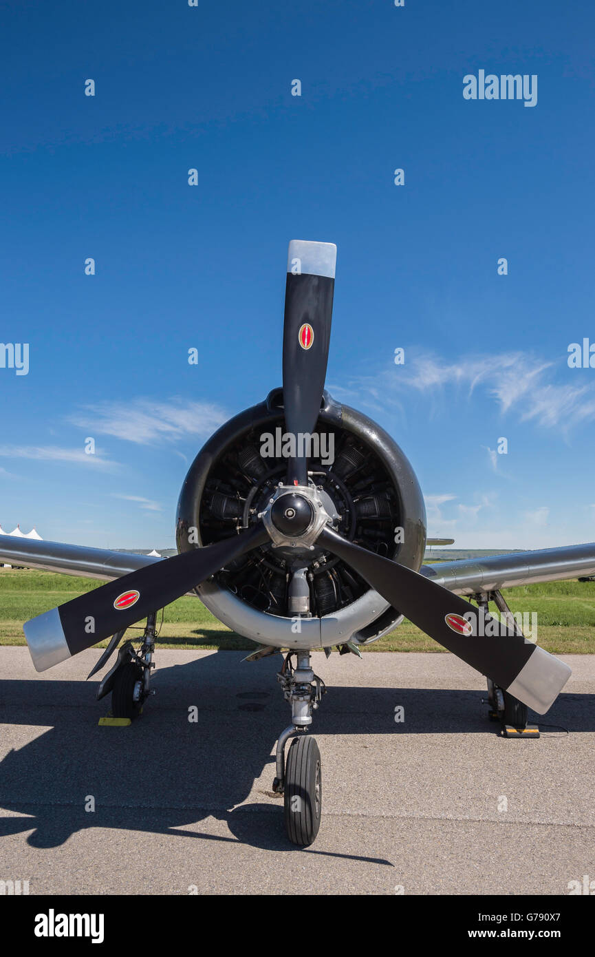 T-28 Trojaner, Wings over Springbank, Springbank Airshow, Alberta, Kanada Stockfoto